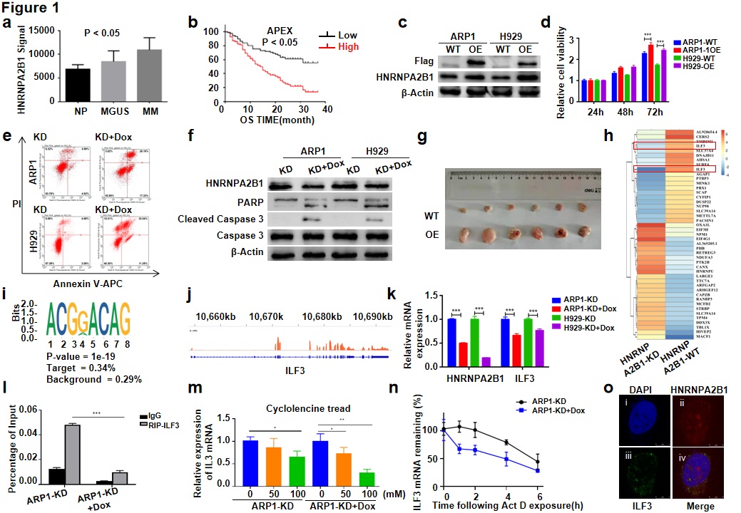 啊啊啊啊.jpg 啊啊啊啊.jpg